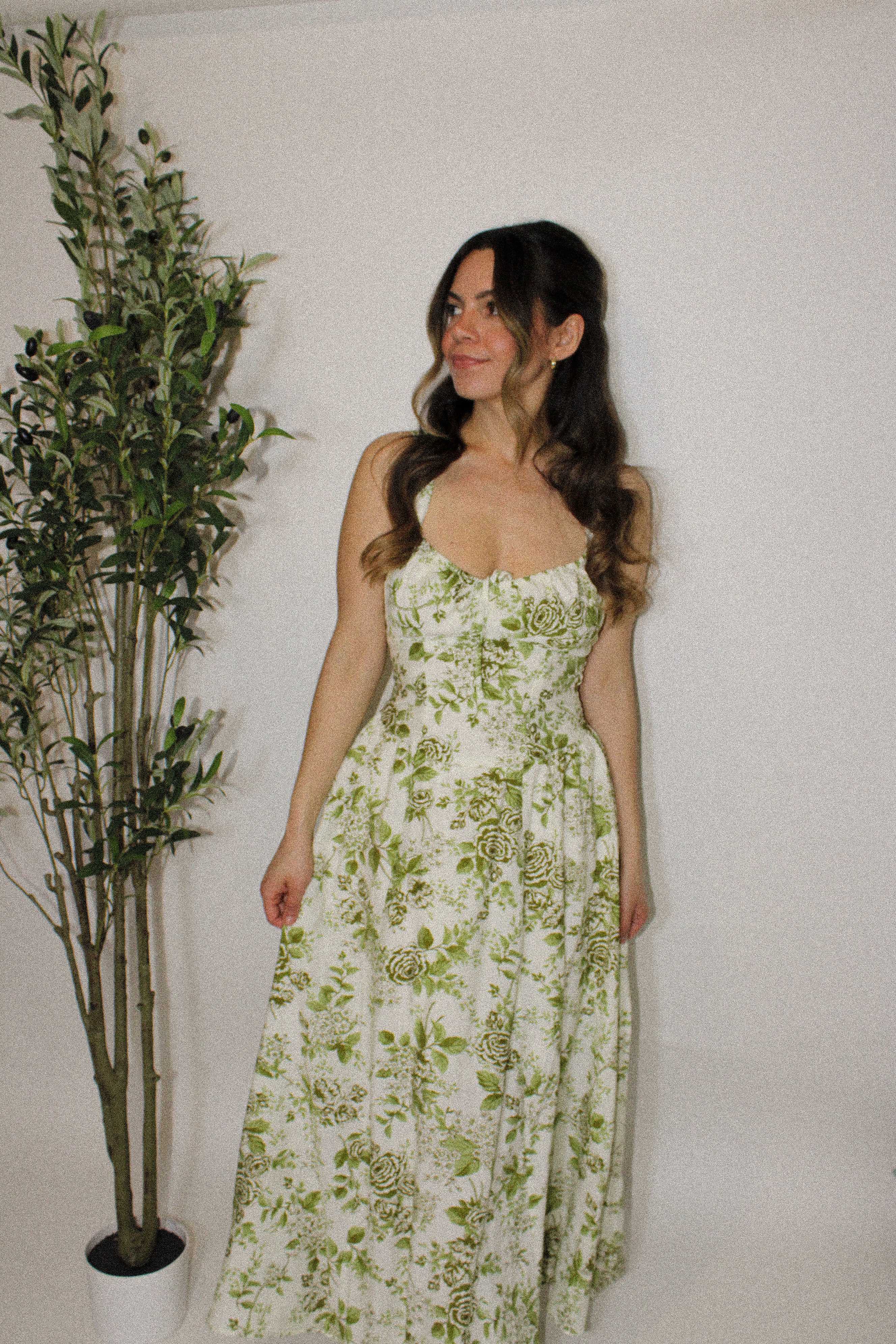 Sage Garden Bustier Midi Dress