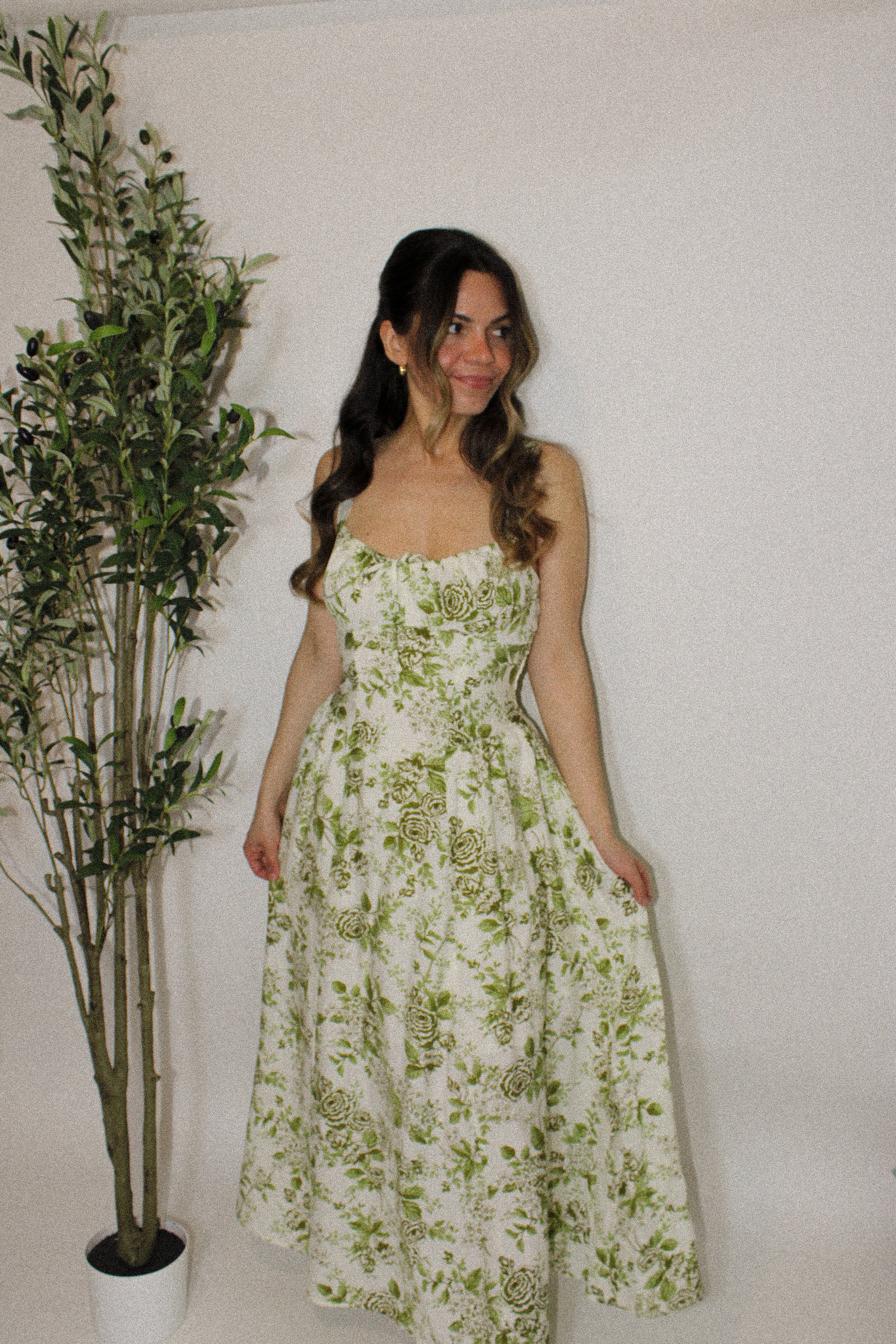 Sage Garden Bustier Midi Dress